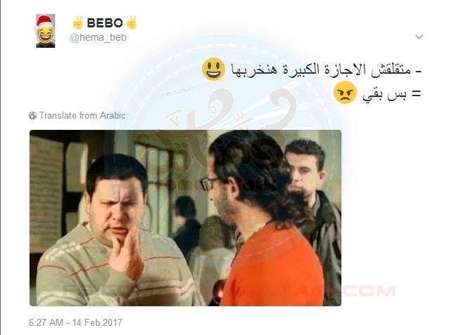 الطالب المصري في الإجازات