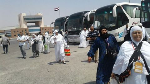 وصول و سفر 421 معتمر بميناء نويبع