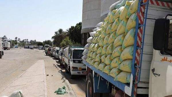 وصول 5 الاف طن بوتاجاز .. و 63 الف طن قمح روسى لموانىء البحر الاحمر