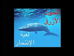 لعبة ”الحوت الأزرق” أودت بحياة عدد من الأشخاص في روسيا.