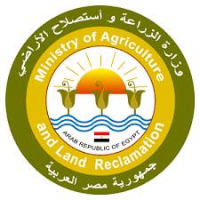 ”البنا” يكلف الخدمات البيطرية بتشديد عمليات التفتيش والمتابعة على أسواق اللحوم استعداداً لعيد الأضحى