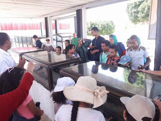 إقليم القناة يستضيف المواهب في ذكرى افتتاح قناة السويس الجديدة 
