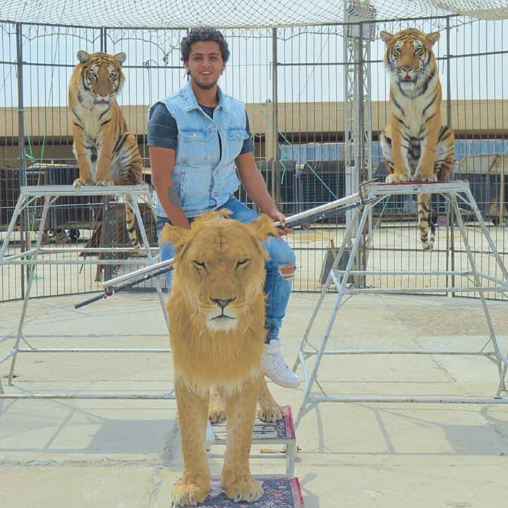 ابن الوز عوام جيل جديد لا يعرف المستحيل