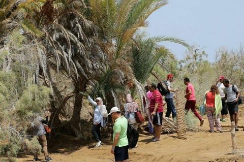 الصحفييون يزورون محمية وادى الجمال فى مرسى علم
