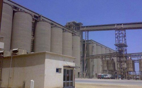 وصول ١١٣ الف طن قمح وشحنة رؤوس ماشية الي ميناء الإسكندرية