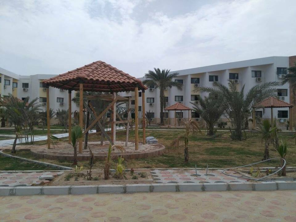23 ألف شاب يشاركون فى رحلات وزارة الشباب إلى الأقصر وأسوان وشرم الشيخ والغردقة