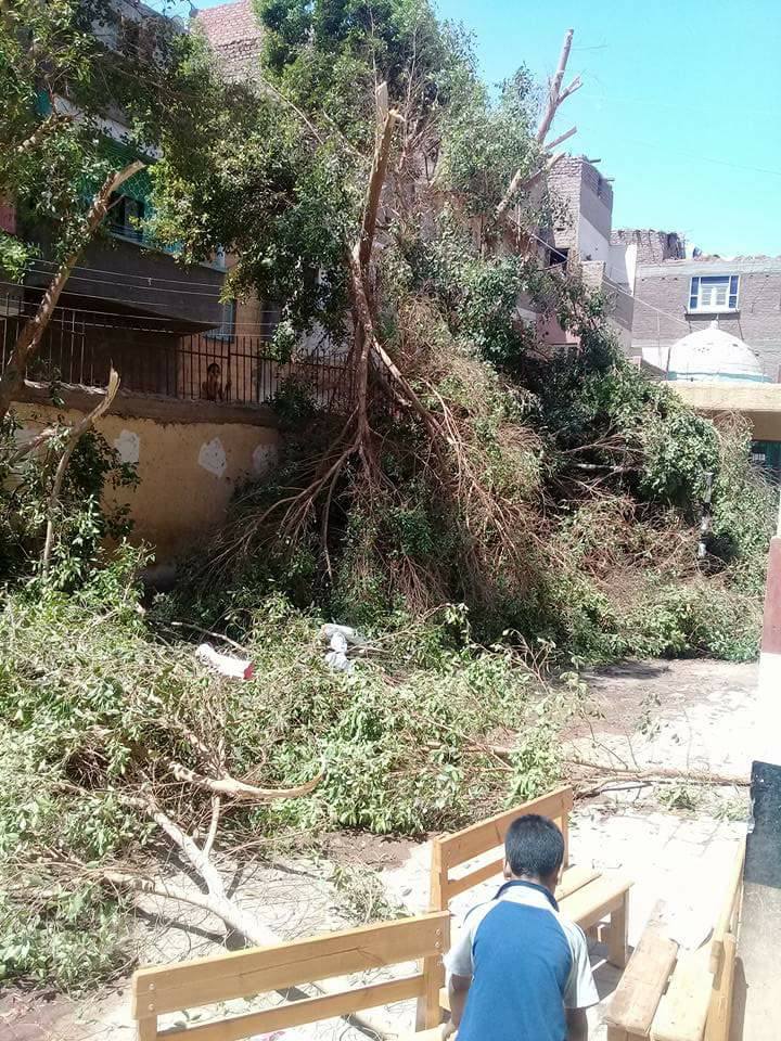 حمله نظافة بمدارس الكوم الأحمر فرشوط بقنا