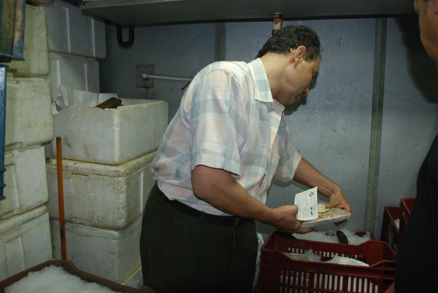 الجيزة تعيد الانضباط للعائمات والمطاعم السياحية بشارع النيل