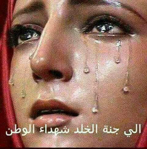 شهداء مصر الأبرار