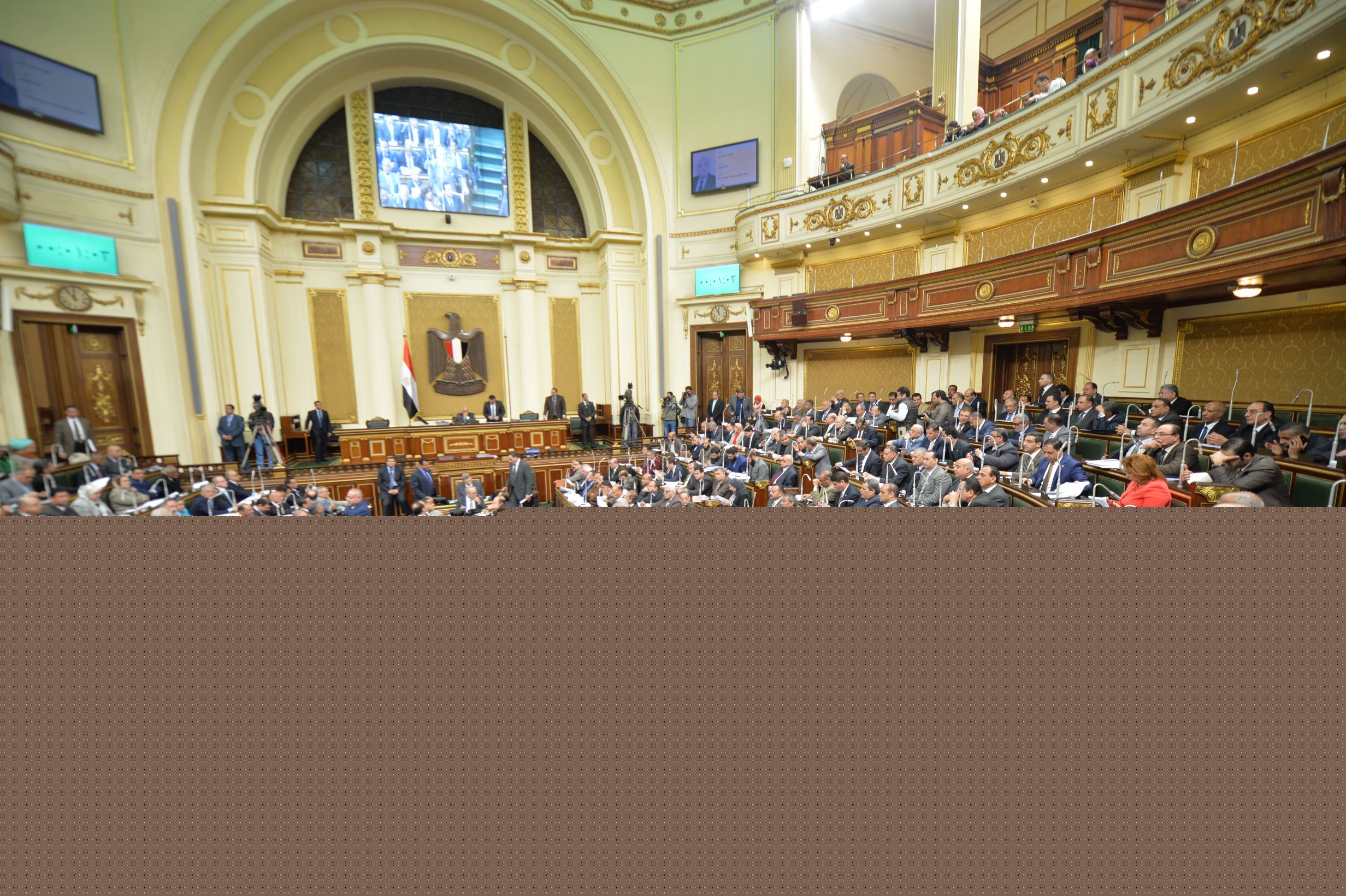 مجلس النواب يوافق على قرض للمساهمة فى تمويل إضافى لمشروع مكافحة انفلونزا الطيور