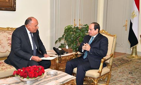 شكرى يقدم تقريرا للرئيس السيسى عن نتائج جولته العربية