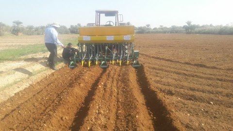 ”الزراعة” تنشأ 70 حقل ارشادي لمحصول القمح بوادي الصعايدة