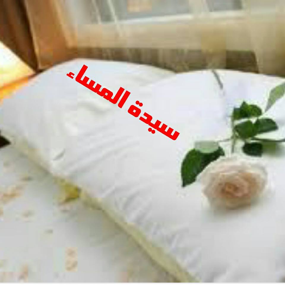 أحداث تلاحق عاشق سيدة المساء