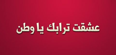 الاخوان ارادوا استغلال الفريق سامي عنان