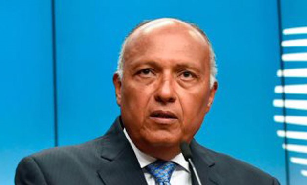 وزير الخارجية: مصر على محمل الجد مع اقتلاع الإرهاب