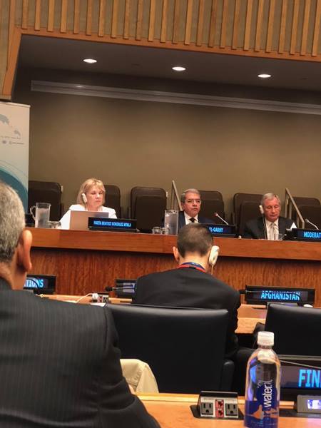 الجارحى يمثل مصر في اول مؤتمر دولي لتنسيق السياسات الضريبية بنيويورك 