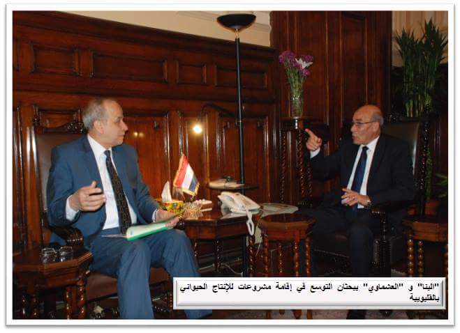 ”البنا” و ”العشماوي” يبحثان التوسع في إقامة مشروعات للإنتاج الحيواني بالقليوبية