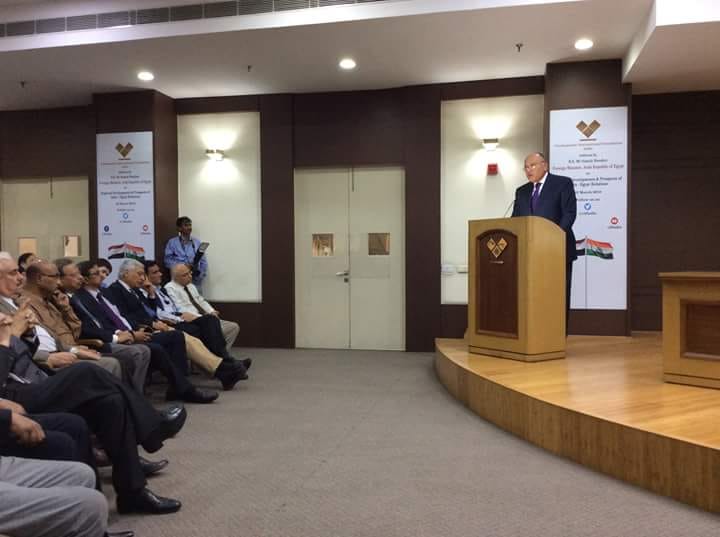 شكرى يستعرض رؤية مصر للتطورات الإقليمية والدولية