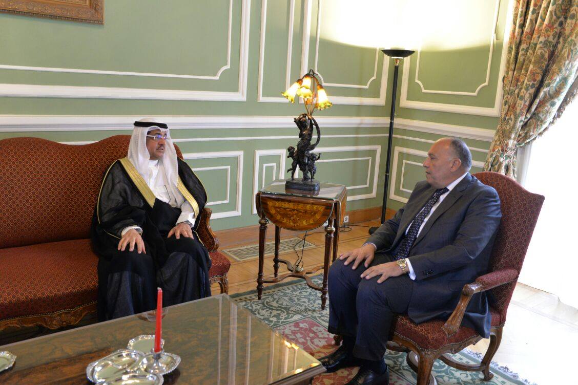 سامح شكري يلتقي بوزير الدولة وعضو مجلس الوزراء بالسعودية