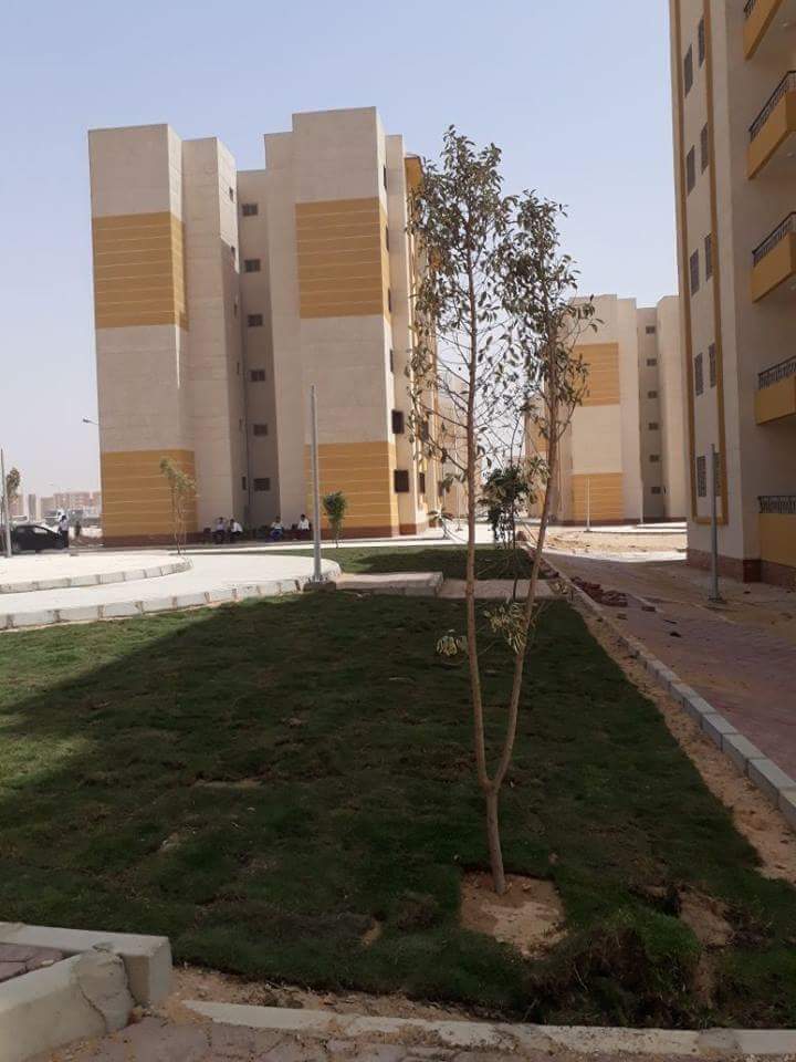 مدبولي يطلب تجهيز مواقع لإنشاء 120 ألف وحدة جديدة بالعبور و6 أكتوبر وبدر و15 مايو