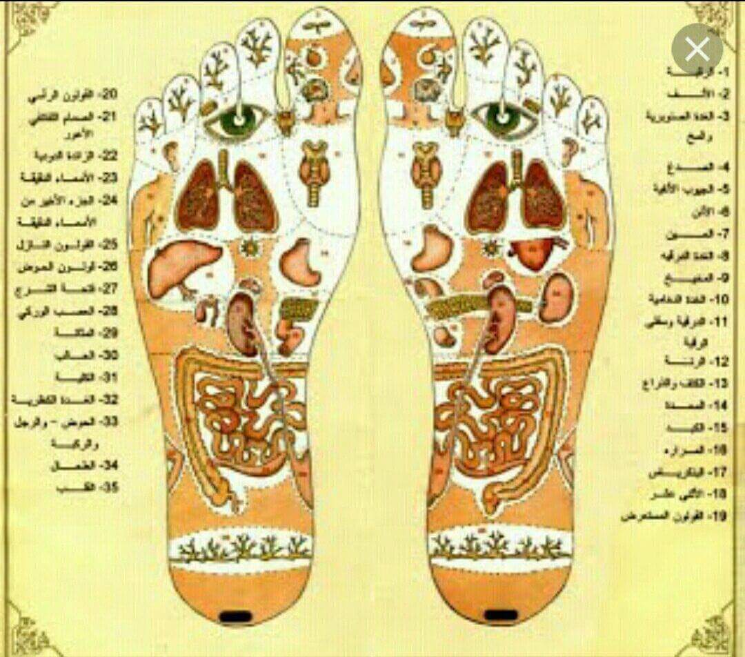 طب المنعكسات