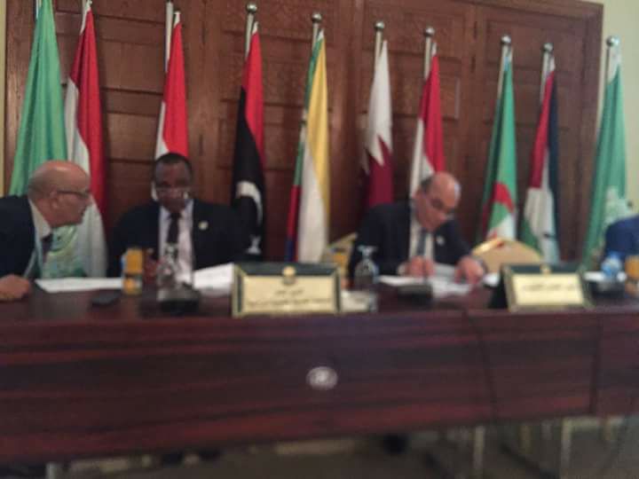 وزير الزراعة يؤكد على أهمية تكثيف العمل العربي الزراعي المشترك لزيادة الأمن الغذائي بالمنطقة