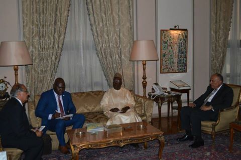 سامح شكري يستقبل سكرتير عام تجمع الساحل والصحراء