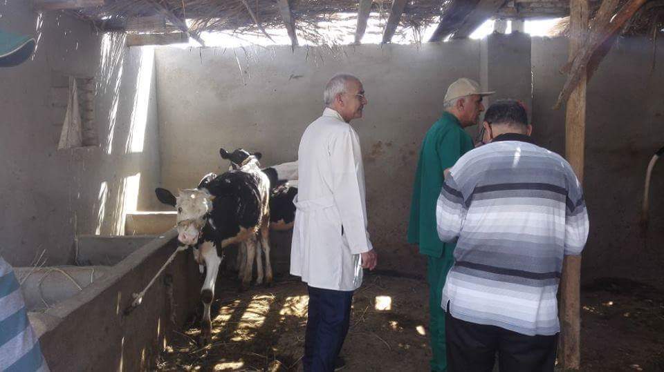 الزراعة : تواصل فعاليات الحملة القومية للقوافل البيطرية بالمحافظات