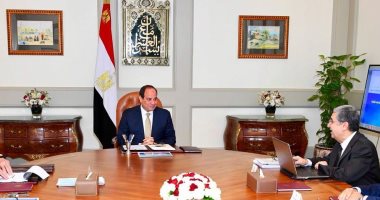 الرئيس السيسي يبحث تطوير الكهرباء وخطط الربط مع دول الجوار