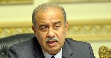 رئيس الوزراء يتابع برامج القضاء على فيروس سى