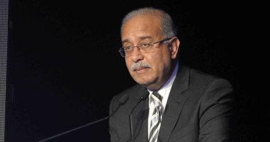 السيسى يكلف الحكومة بتسيير الأعمال لحين تشكيل حكومة جديدة