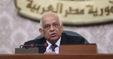 رئيس البرلمان يؤكد لا خصخصة للمؤسسات الصحفية القومية