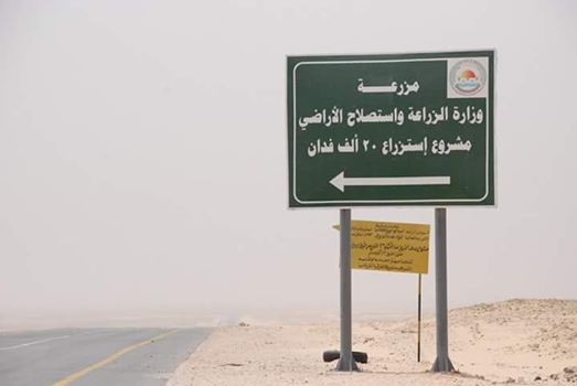 ”الزراعة”: افتتاح المرحلة الأولى من مشروع الـ20 ألف فدان بغرب غرب المنيا في 30 يونيو