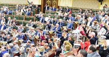 برلماني يطالب بمد حالة الطوارئ وتقارير اللجان النوعية