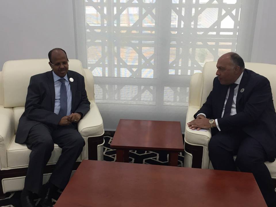 وزير الخارجية يلتقي وزير خارجية جيبوتي على هامش اجتماعات المجلس التنفيذي للاتحاد الأفريقي