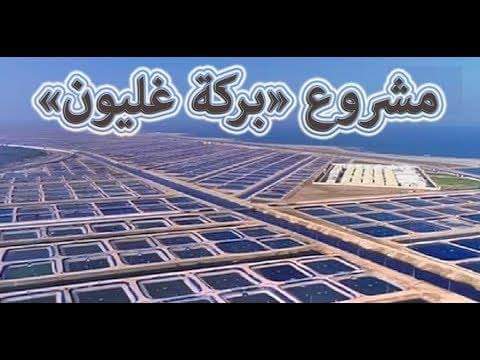 الزراعة : الإعتماد الدولي لمعامل الأسماك بمشروع بركة غليون