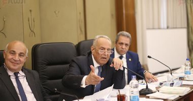 تقرير تشريعية البرلمان بشأن إسقاط عضوية النائبة سحر الهوارى