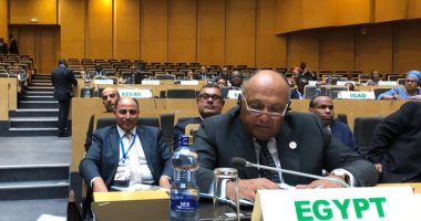 وزير الخارجية يؤكد أن الرئيس السيسي سوف يطلب معاقبة الدول المساندة للإرهاب فى الأمم المتحدة