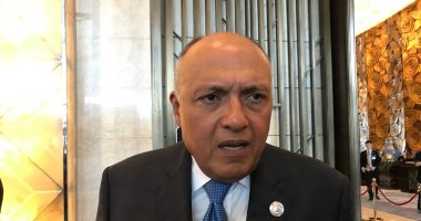 وزير الخارجية يعلن عن قمة مصرية أمريكية بين الرئيس السيسي وترامب