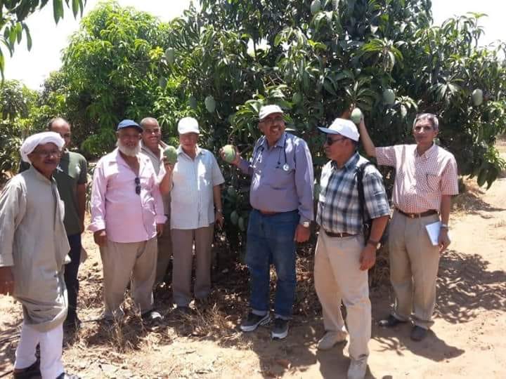 محطة بحوث البساتين بالقصاصين تستحدث طريقة جديدة لزراعة العنب