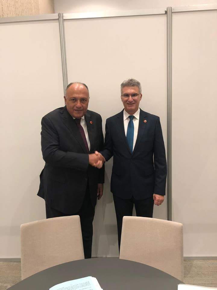 شكري يلتقي بوزير خارجية مالطا