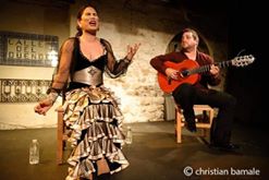 ثنائي اسبانى فى حفل فلامنكو غنائي بمسرح الجمهورية