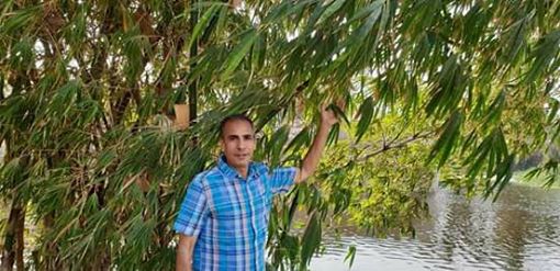 طوغان يبداء تنفيذ مشروع ”بامبو مصر ” أحد سلسله مشروعاته القوميه