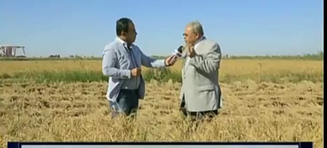 تكليفات رئاسية بتقييم أرز الجفاف المصرى تمهيداً لتسجيله وزراعته