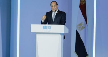 الرئيس السيسى يؤكد أن الدول تسير بشعوبها وليس بحكامها