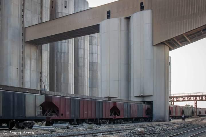 حركة قطارات البضائع العامة بميناء دمياط خلال الـ 24 ساعة الماضية