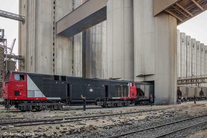 السكة الحديد تستعيد نقل القمح من ميناء بورسعيد الى الصوامع الداخلية