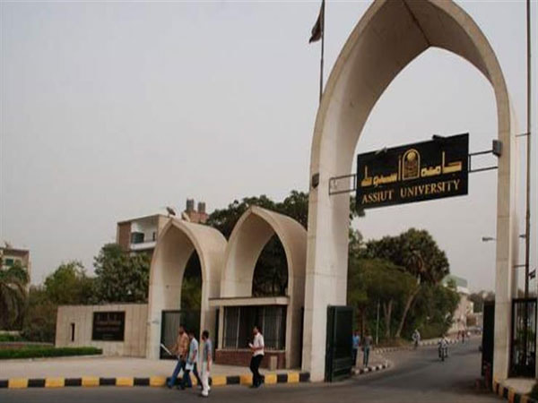 إنشاء وحدة للمشروعات الإبتكارية والإبداعية بجامعة أسيوط