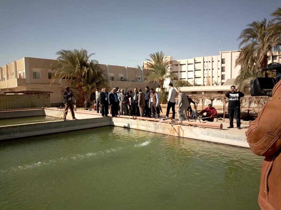 وزير الزراعة:خطة عاجلة لتنمية بحيرة السد العالي ومواردها المختلفة