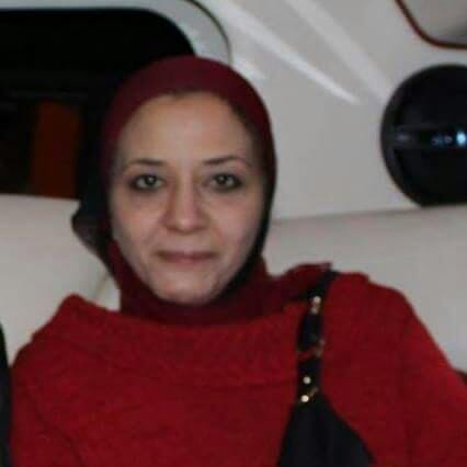 البروفيسور ”سلوى” لا يمكن الاستغناء عن الأنسولين هو المسئول الأول بالجسم البنكرياس